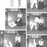 Yukiyoshi Sagawa demonstrates Tai-no-Aiki