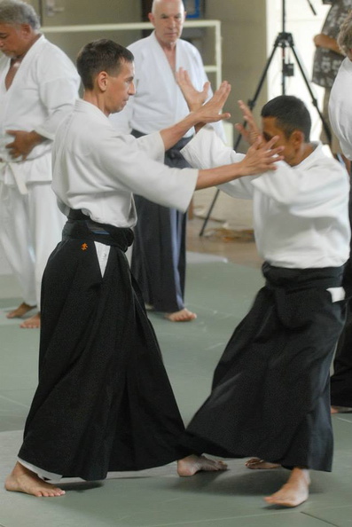 aikikai-o-kona-gleason-2014-002.jpg