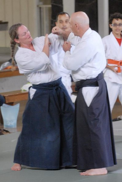 aikikai-o-kona-gleason-2014-005.jpg