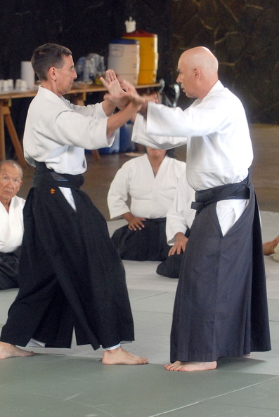 aikikai-o-kona-gleason-2014-008.jpg