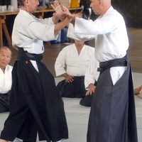 aikikai-o-kona-gleason-2014-008