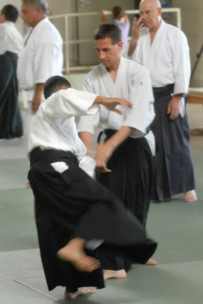 aikikai-o-kona-gleason-2014-014.jpg