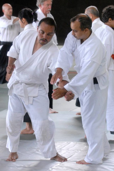 aikikai-o-kona-gleason-2014-015.jpg