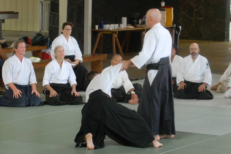 aikikai-o-kona-gleason-2014-019.jpg