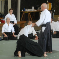 aikikai-o-kona-gleason-2014-019