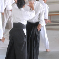 aikikai-o-kona-gleason-2014-022