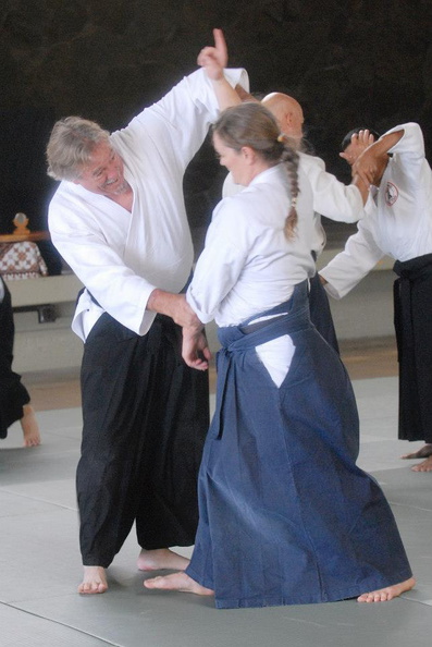 aikikai-o-kona-gleason-2014-025