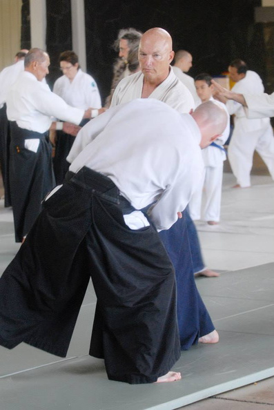 aikikai-o-kona-gleason-2014-026.jpg