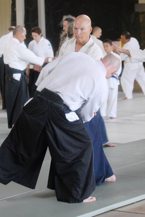 aikikai-o-kona-gleason-2014-026