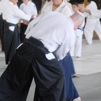 aikikai-o-kona-gleason-2014-026