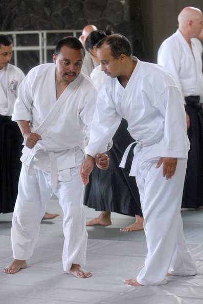 aikikai-o-kona-gleason-2014-030