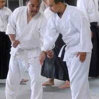 aikikai-o-kona-gleason-2014-030