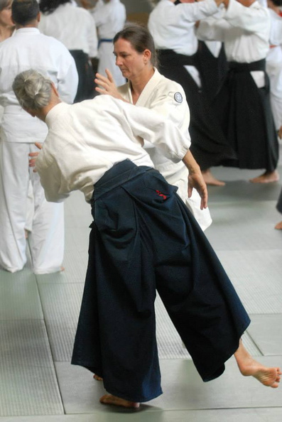 aikikai-o-kona-gleason-2014-032.jpg