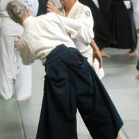 aikikai-o-kona-gleason-2014-032