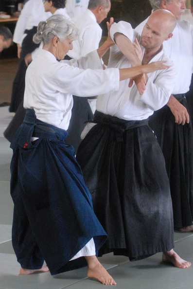 aikikai-o-kona-gleason-2014-035.jpg