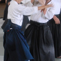 aikikai-o-kona-gleason-2014-035