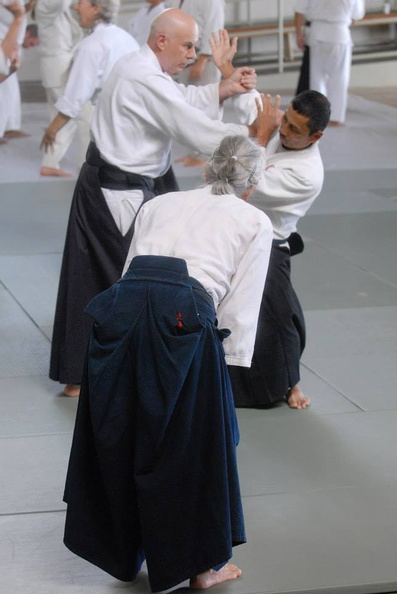 aikikai-o-kona-gleason-2014-039.jpg