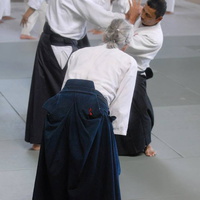 aikikai-o-kona-gleason-2014-039