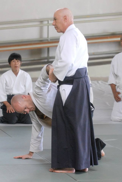 aikikai-o-kona-gleason-2014-045.jpg