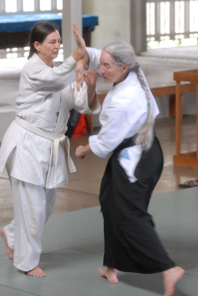 aikikai-o-kona-gleason-2014-048.jpg