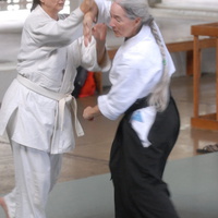 aikikai-o-kona-gleason-2014-048