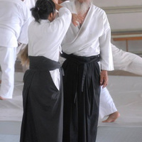 aikikai-o-kona-gleason-2014-055