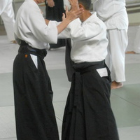 aikikai-o-kona-gleason-2014-056