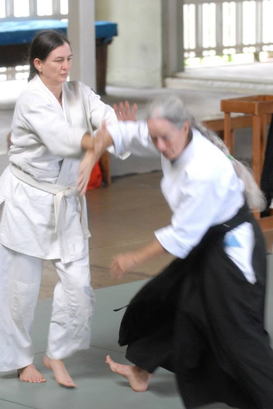 aikikai-o-kona-gleason-2014-057.jpg