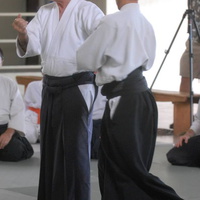 aikikai-o-kona-gleason-2014-058