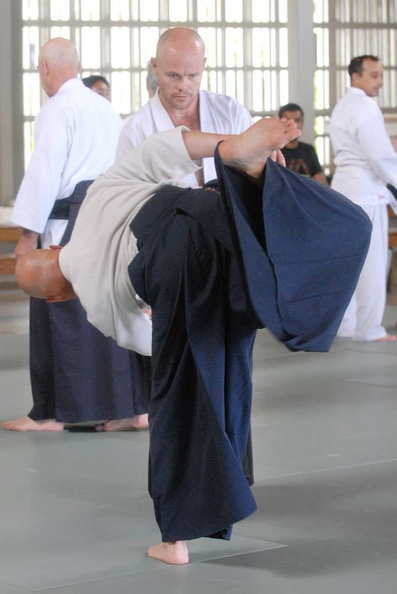 aikikai-o-kona-gleason-2014-060.jpg