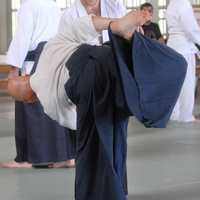 aikikai-o-kona-gleason-2014-060.jpg