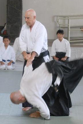 aikikai-o-kona-gleason-2014-069