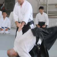 aikikai-o-kona-gleason-2014-069