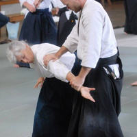 aikikai-o-kona-gleason-2014-074