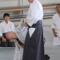 aikikai-o-kona-gleason-2014-077