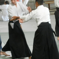 aikikai-o-kona-gleason-2014-078