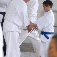 aikikai-o-kona-gleason-2014-080