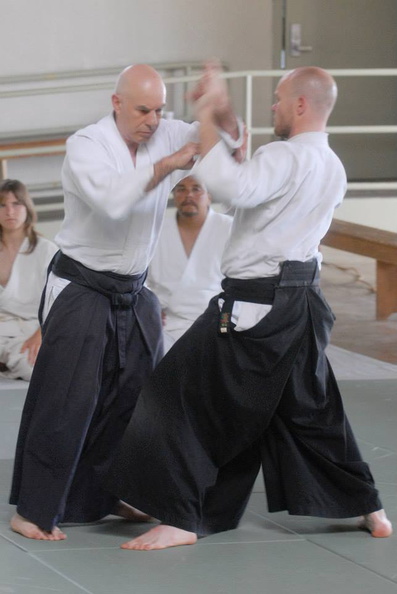 aikikai-o-kona-gleason-2014-086.jpg