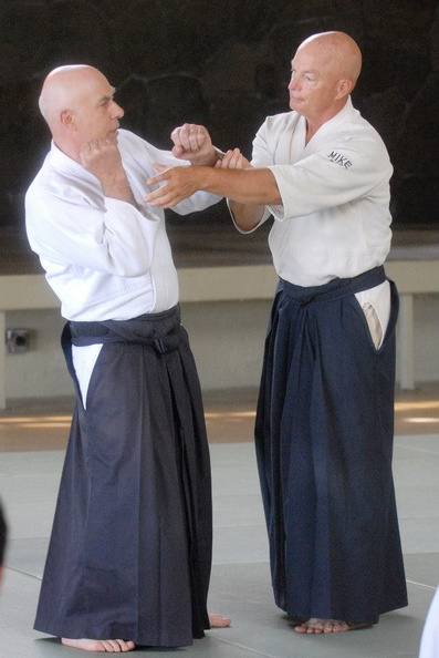 aikikai-o-kona-gleason-2014-087