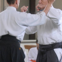 aikikai-o-kona-gleason-2014-092