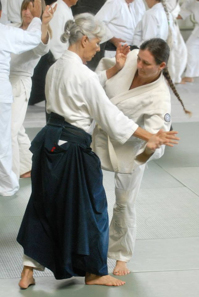 aikikai-o-kona-gleason-2014-102.jpg