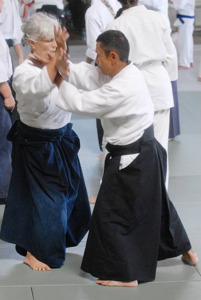 aikikai-o-kona-gleason-2014-105.jpg