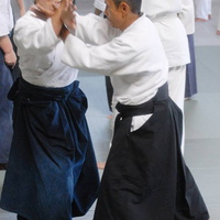 aikikai-o-kona-gleason-2014-105