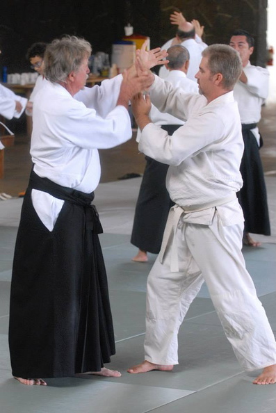 aikikai-o-kona-gleason-2014-106.jpg