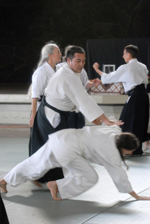 aikikai-o-kona-gleason-2014-115