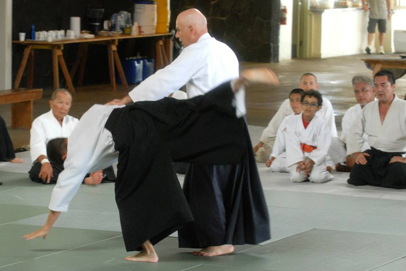 aikikai-o-kona-gleason-2014-116.jpg