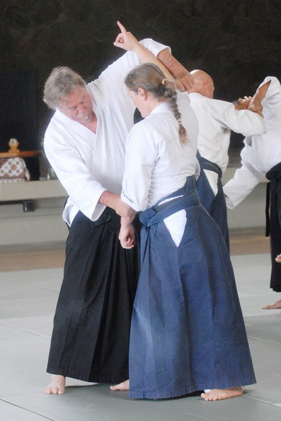 aikikai-o-kona-gleason-2014-119.jpg