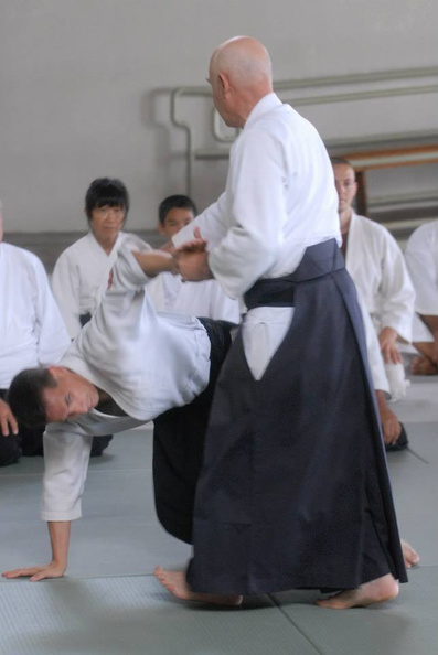 aikikai-o-kona-gleason-2014-121.jpg