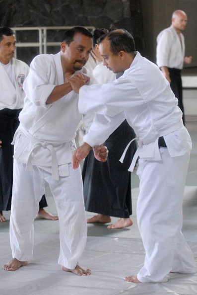 aikikai-o-kona-gleason-2014-128.jpg