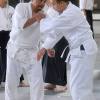 aikikai-o-kona-gleason-2014-128